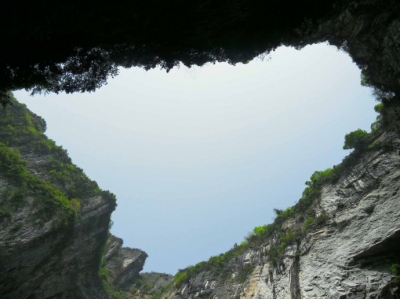 “神鹰天坑”里发现2亿年前海洋生物化石