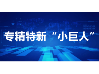 第四批专精特新“小巨人”企业培育工作启动