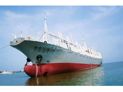 大规模海洋开发在促进经济发展、解决资源短缺的同时,也带来了严重的海洋环境问题,人类应如何保护海洋环境?