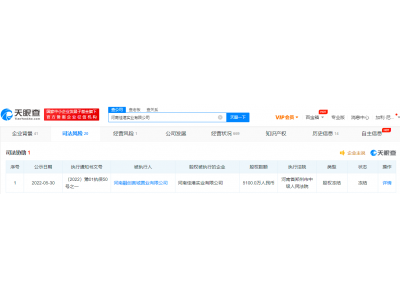 融创旗下公司被冻结5100万股权