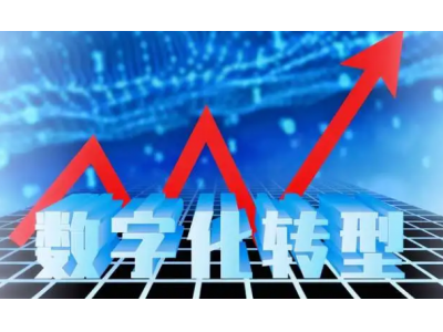 2019被称为白酒行业的数字化建设元年，如何理解行业的数字化转型？