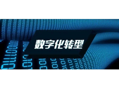对于行业内的龙头企业来说，数字化转型的意义是什么？