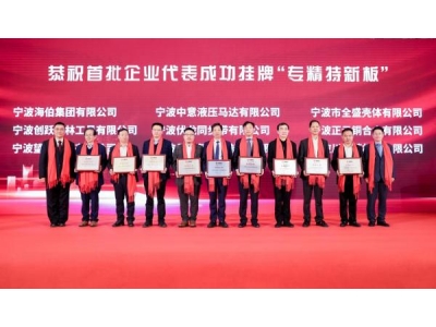 大力培育“专精特新”企业