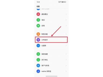 真我realme手机智慧识屏怎么打开：进入设置，点击【小布助手】
