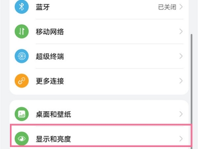华为畅享50pro在哪打开网速显示（在设置中点击【显示和亮度】）