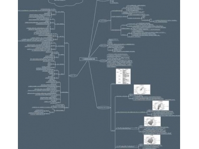 思维导图的运用有什么特征？