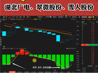 看不透的业绩，读不懂的翠微股份