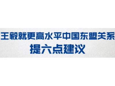 深化中国与东盟贸易投资合作 专家提八项建议