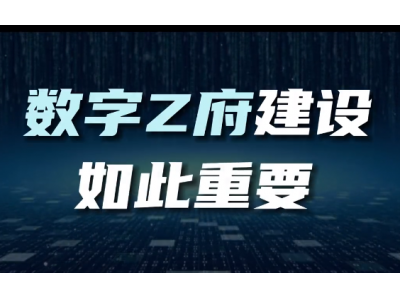 加强数字政府建设，以数字化改革助力政府职能转变，统筹推行领域政务应用系统