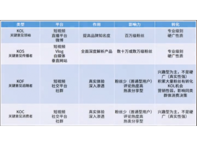 刚毕业或者运营小白看过来，简单教会你怎么分辨KOL/KOS/KOC/