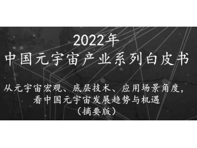 2022年中国元宇宙产业系列白皮书