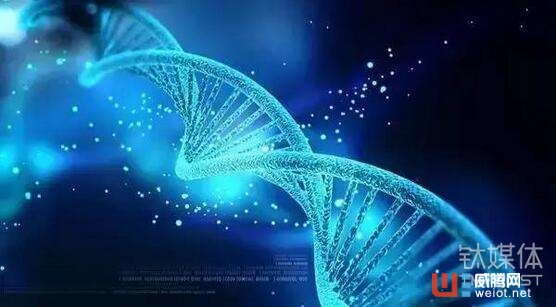 钛媒体Pro创投日报:6月15日收录投融资项目19起,医疗健康独占鳌头 ...