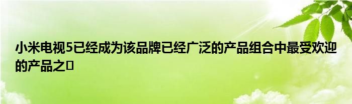 小米电视5已成为该品牌广泛产品组合中最受欢迎的产品