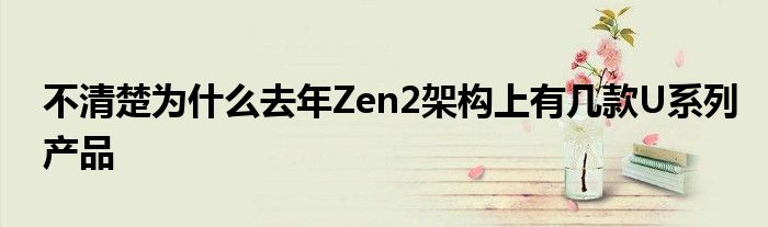 我不知道为什么去年Zen2架构有几个u系列产品