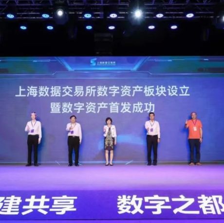 上海发布全国首份数字资产，定义数字资产“四不五可六类”