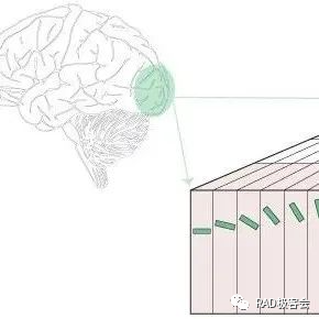 人工智能是不是走错了方向？