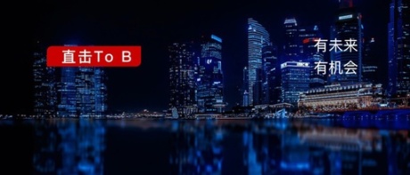 To B，骨头硬，但肉多