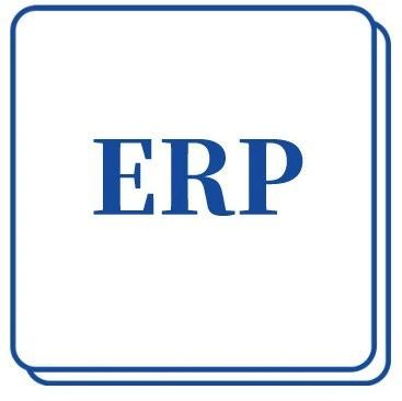 决定ERP系统实施成败的四大纲领