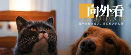 向外看丨天猫双11时间表；京东小时购招商政策；抖音升级宝藏计划