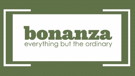 Bonanza平台特点有哪些
