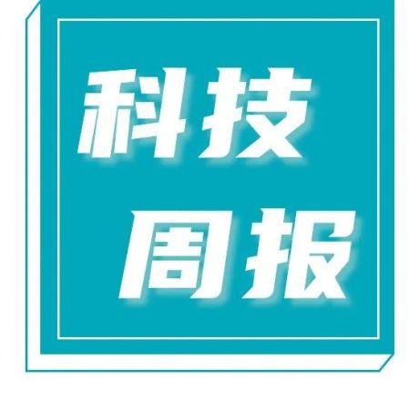 字节跳动推出“小麦房产”和“住好家”；多省市发布数字经济行动方案