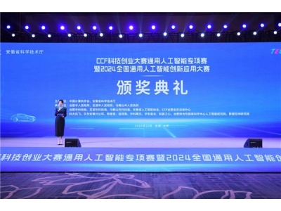 2024全国通用人工智能创新应用大赛  总决赛暨颁奖典礼在安徽合肥圆满举办